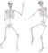 5.4Ft Halloween Life Size Skeleton,2PCS Posable Skeleton Full Body Size Realistic Human Bones with Movable Joints for Indoor Outdoor Halloween Decoration (Grey)